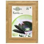 Vedantika Karela Soup (Pack of 2)